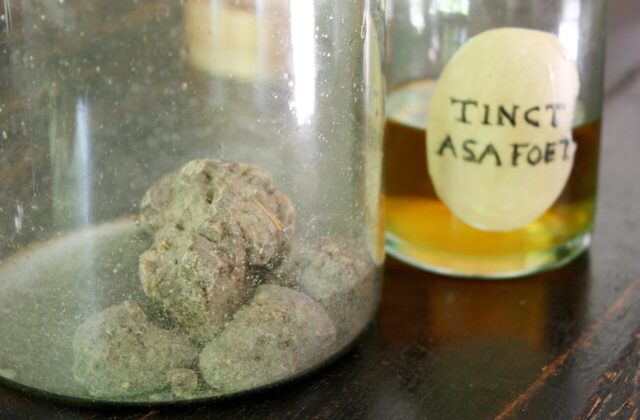 Asafetyda