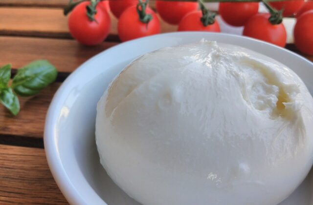 Burrata