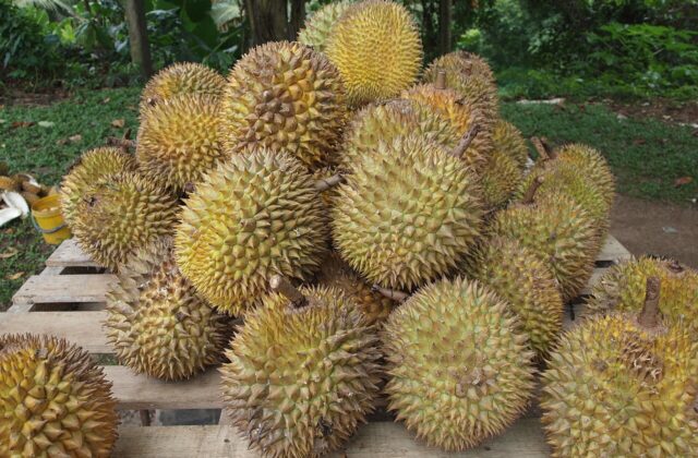 Durian