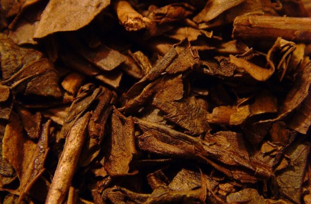 Hojicha