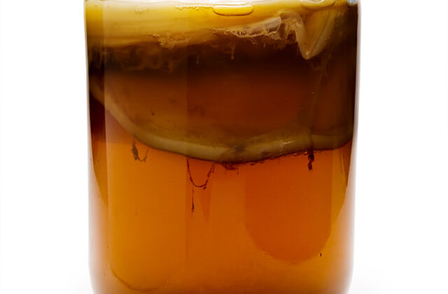 Kombucha