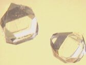 Ksylitol