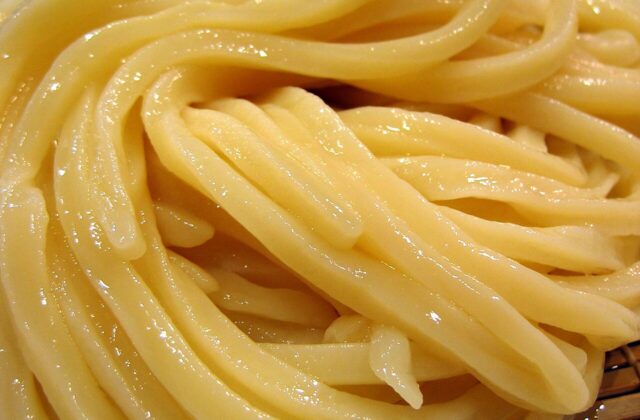 Makaron udon
