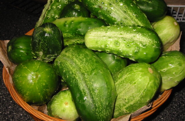 Ogórki kiszone
