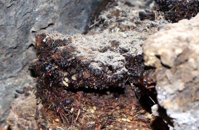 Shilajit